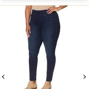 DG2 Diane Gilman HSN jeggings
